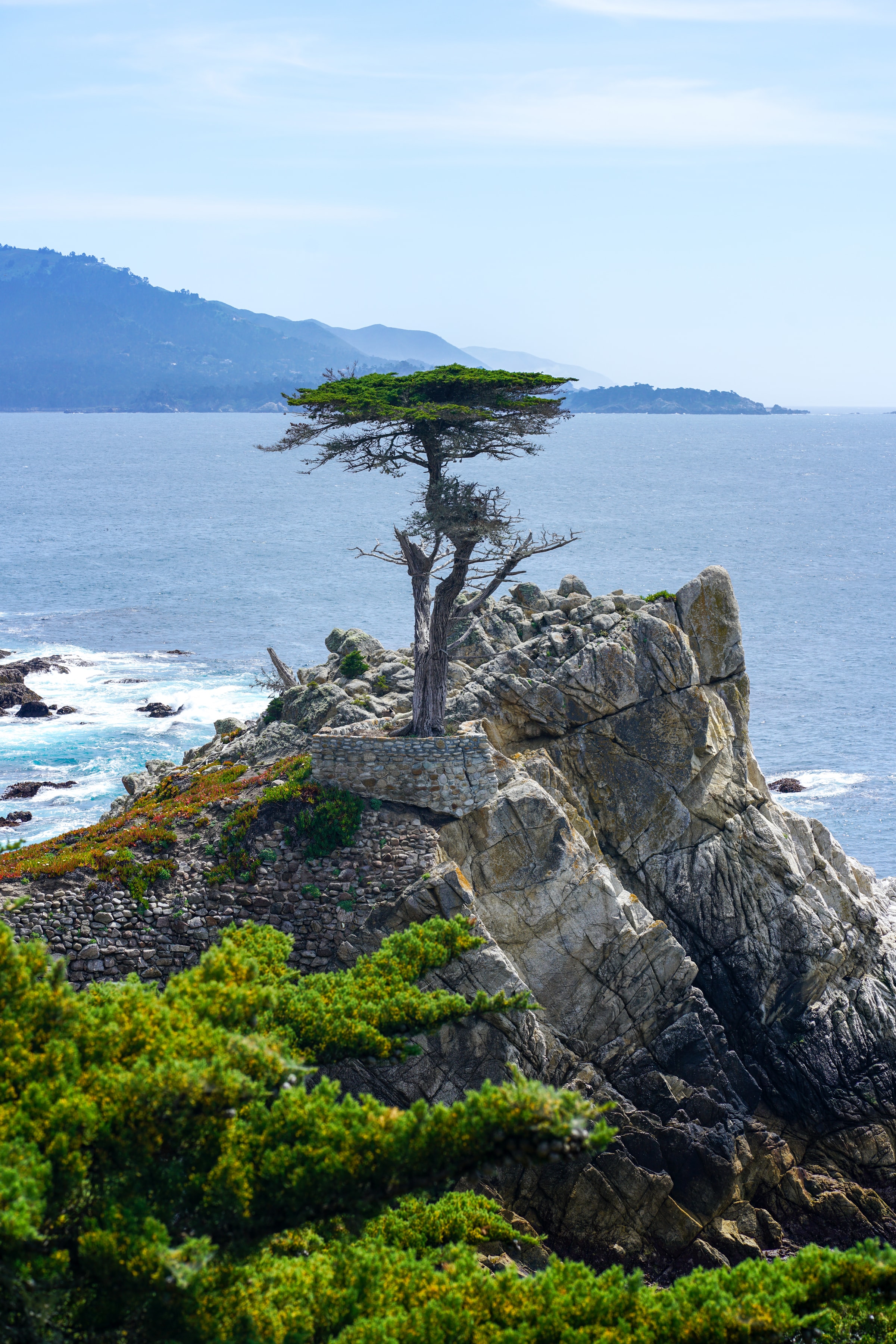 Standing Tall, California Coast, United States, 2025-04-04.