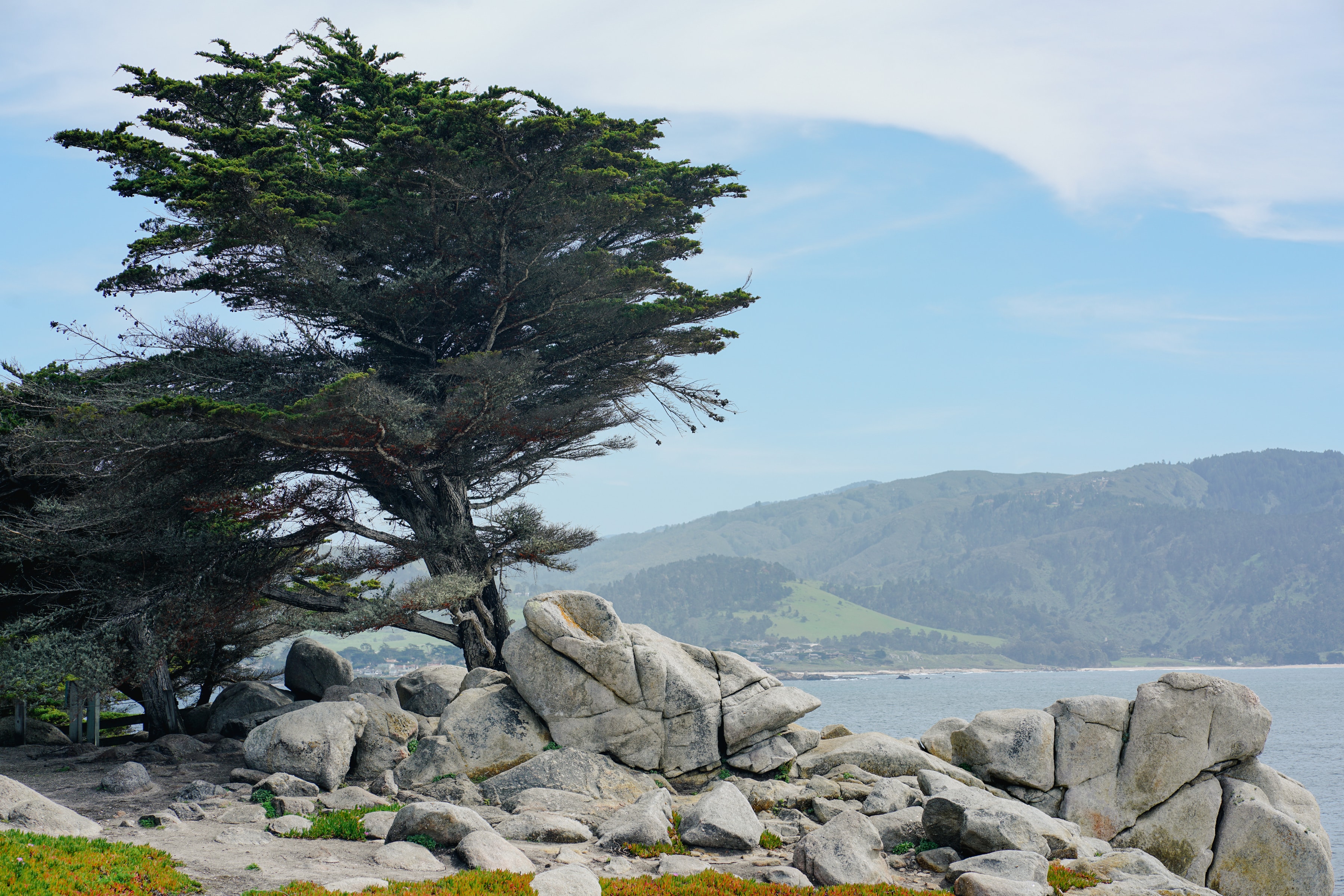 Any Way the Wind Blows