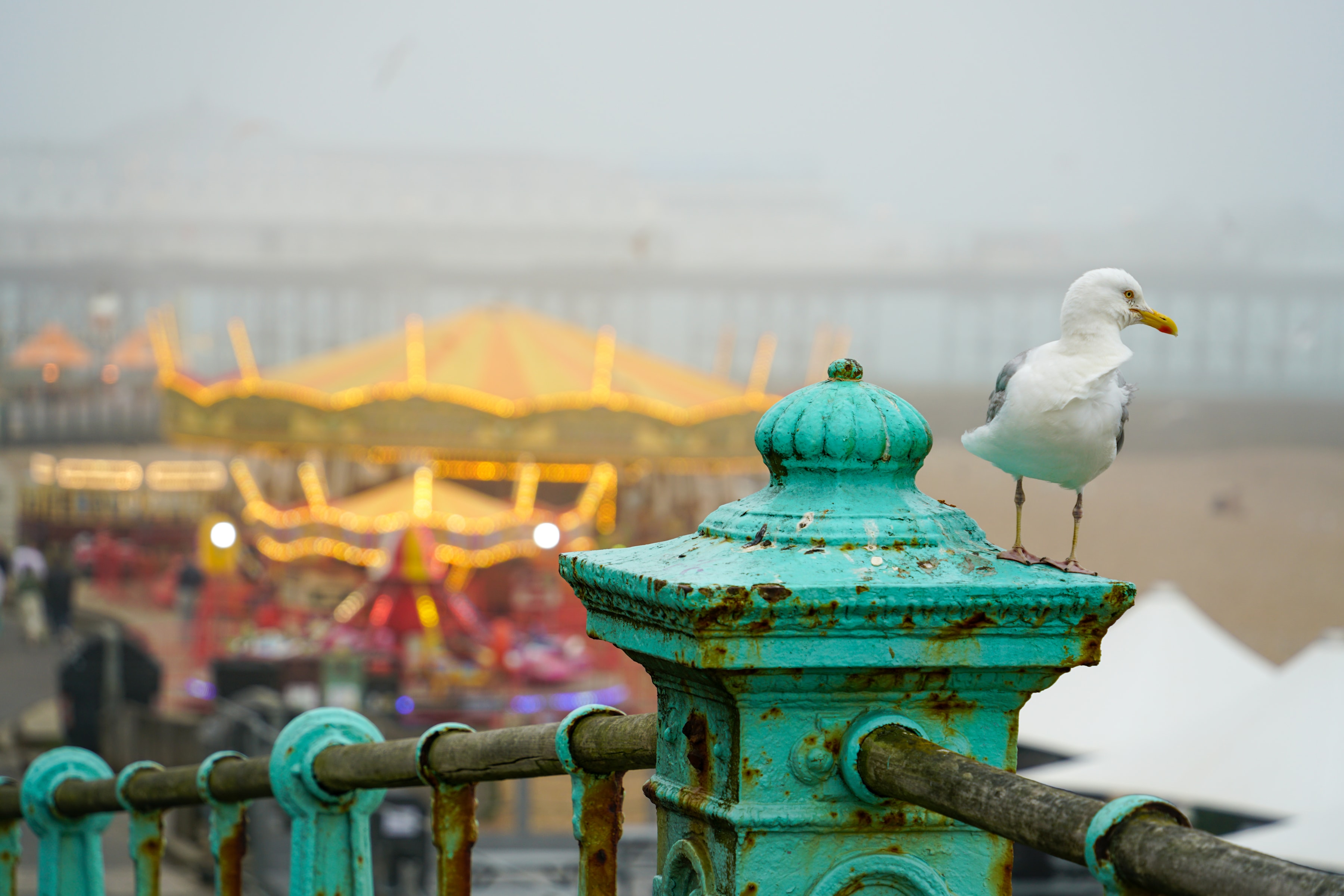 Carefree, Brighton, United Kingdom, 2025-07-18.