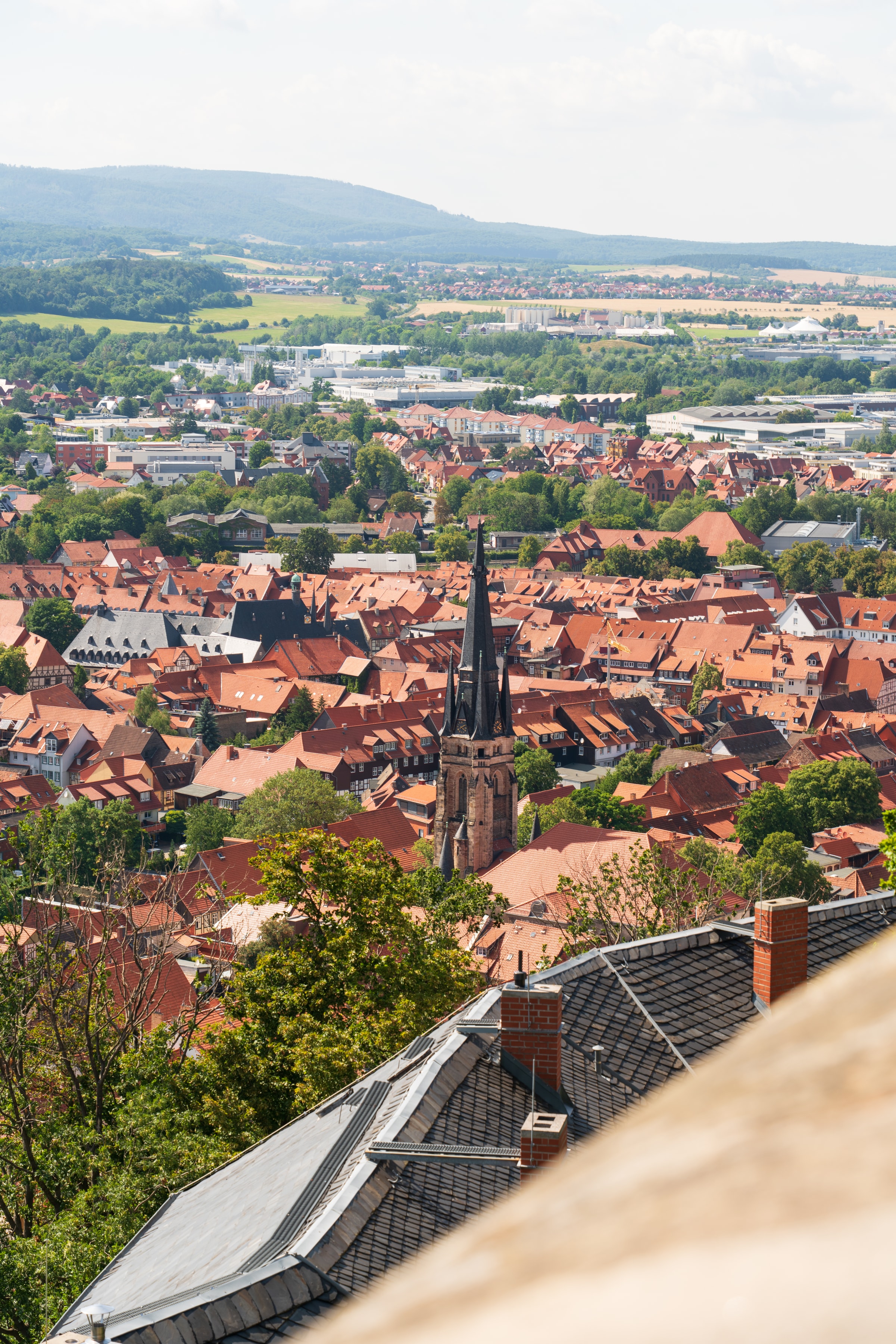 Focus, Harz Mountains, Germany, 2025-07-23.