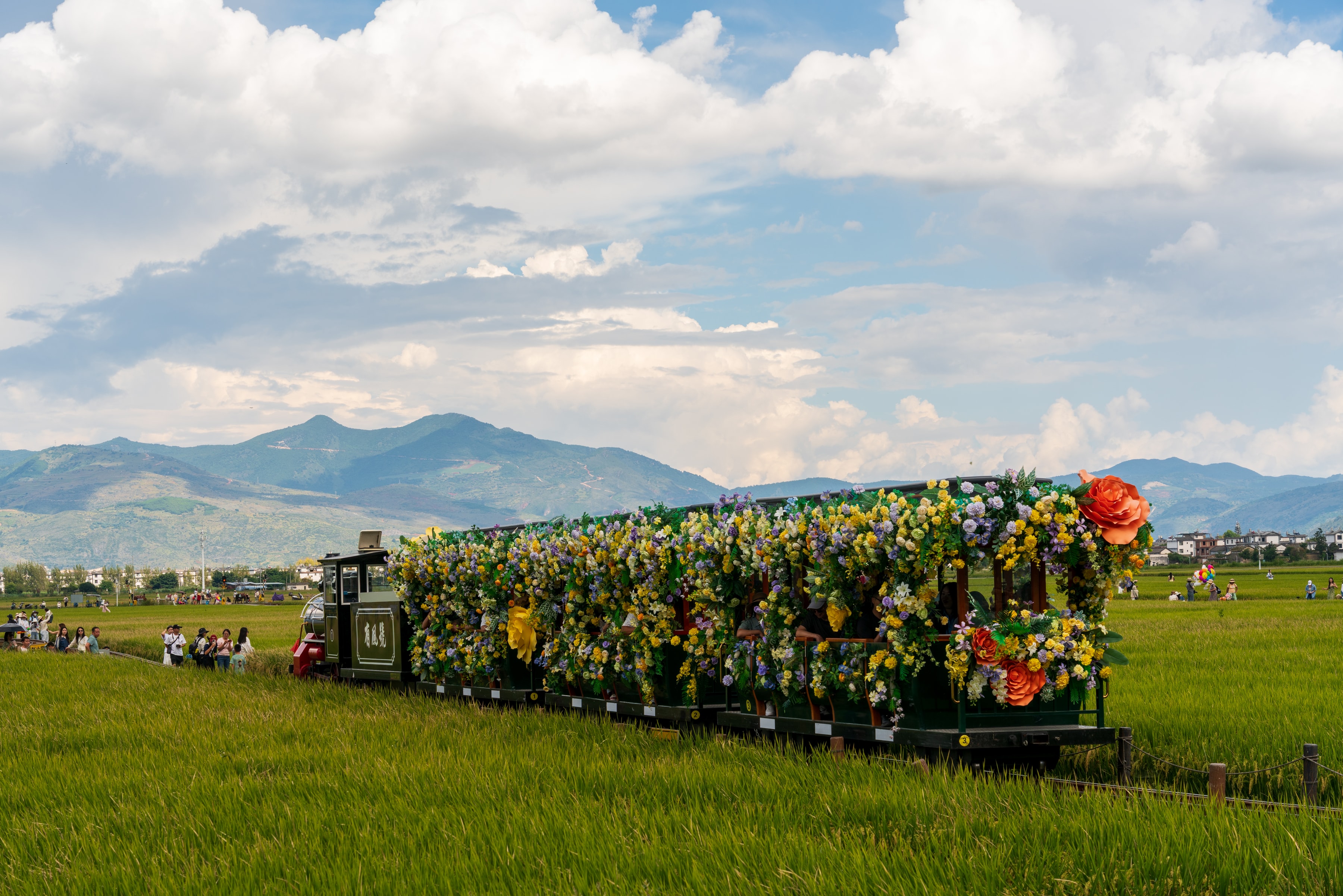 Fully Laden, Dali, China, 2025-09-21.
