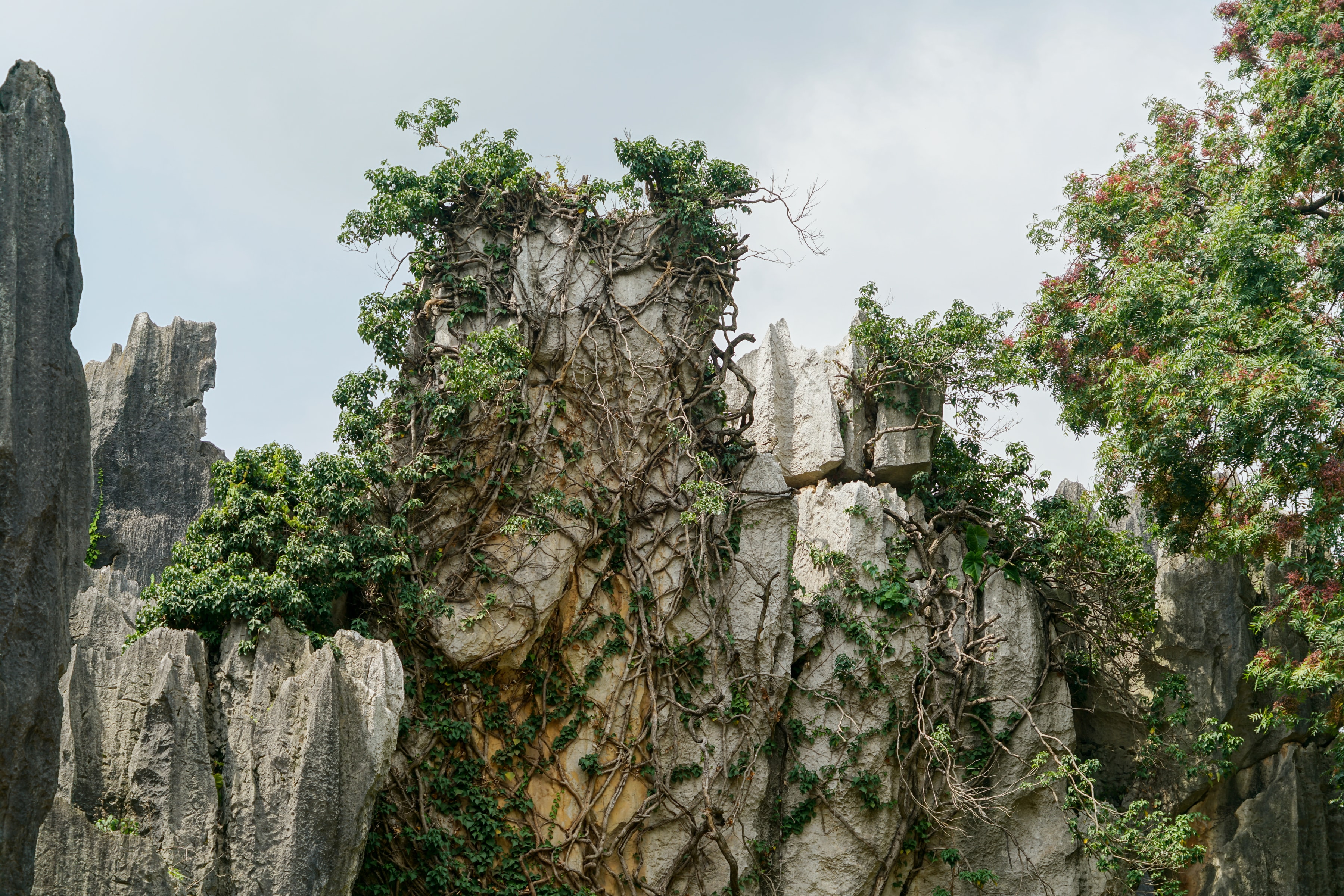 Climb, Kunming, China, 2020-08-30.