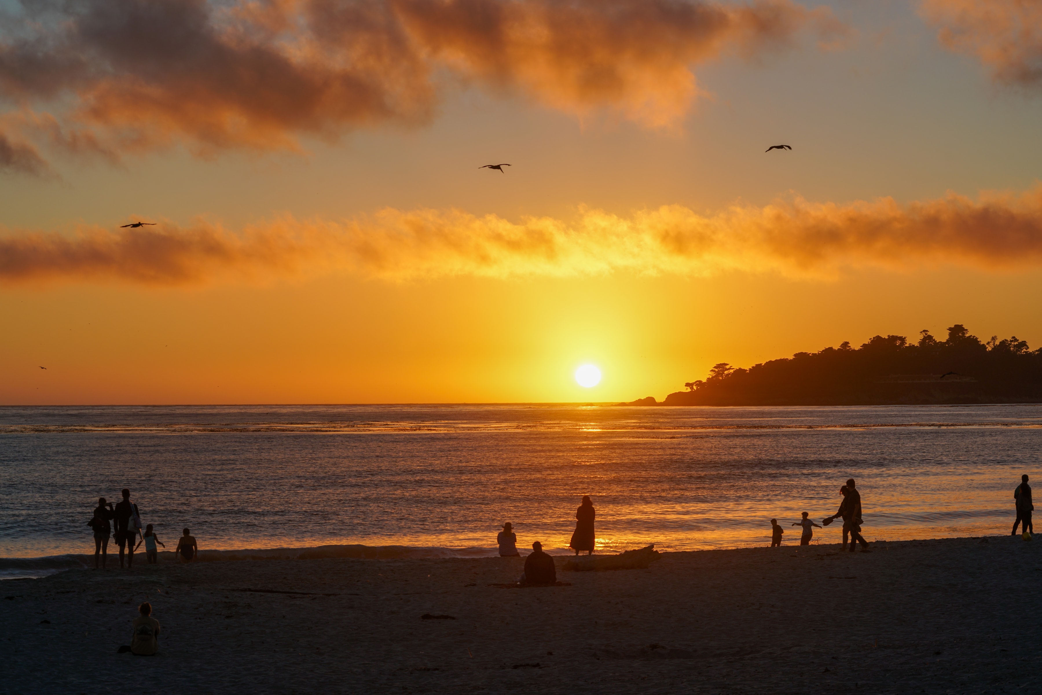 The Band, Carmel-by-the-Sea, United States, 2022-08-13.
