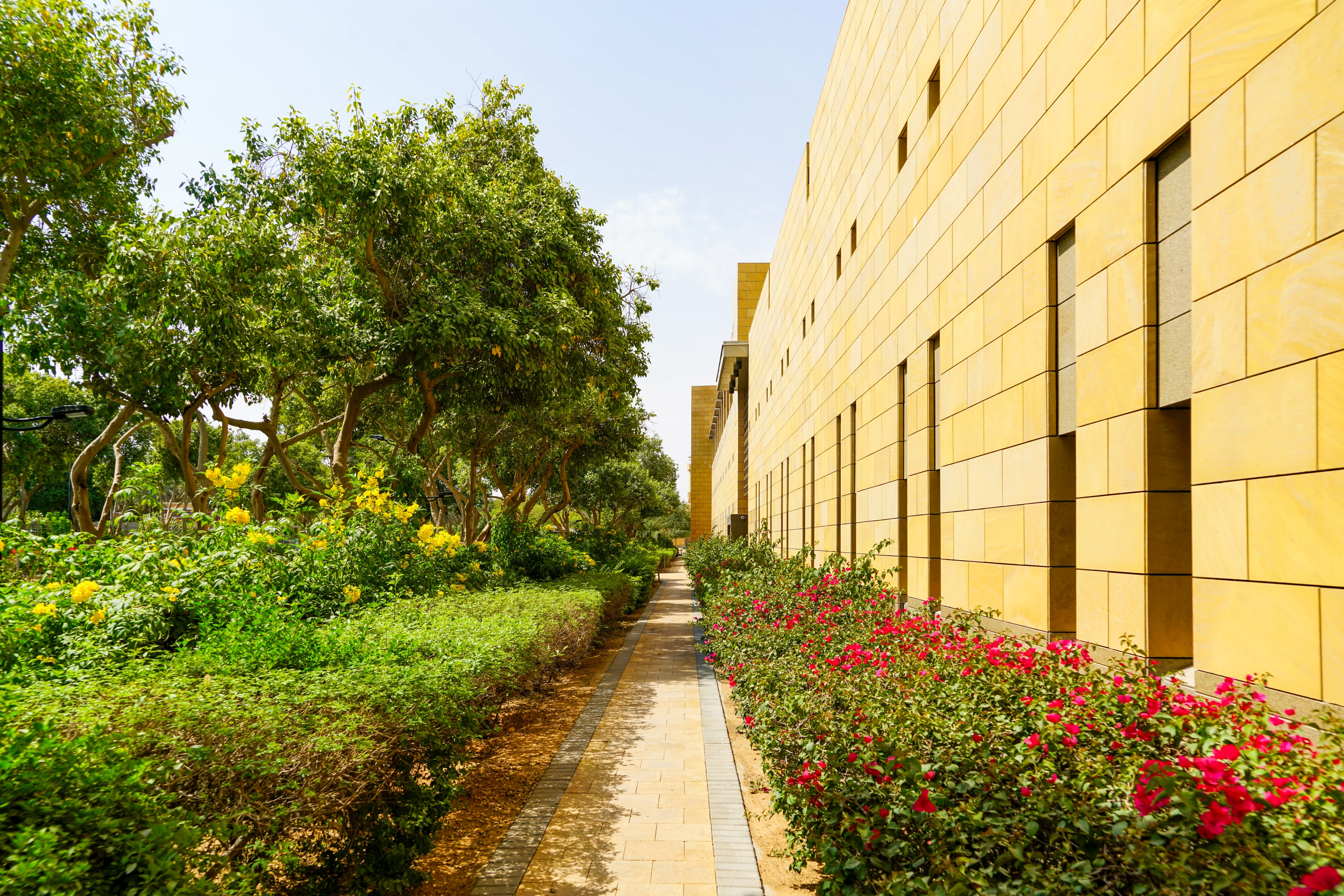 Green and Amber, Riyadh, Saudi Arabia, 2023-03-05.