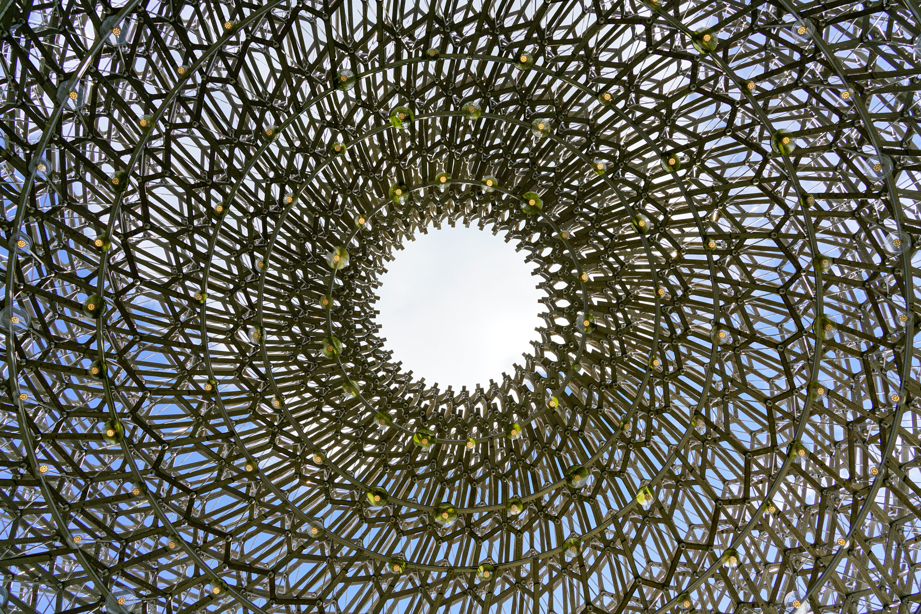 Glasshouse Eye, London Botanical Garden, United Kingdom, 2024-10-05.