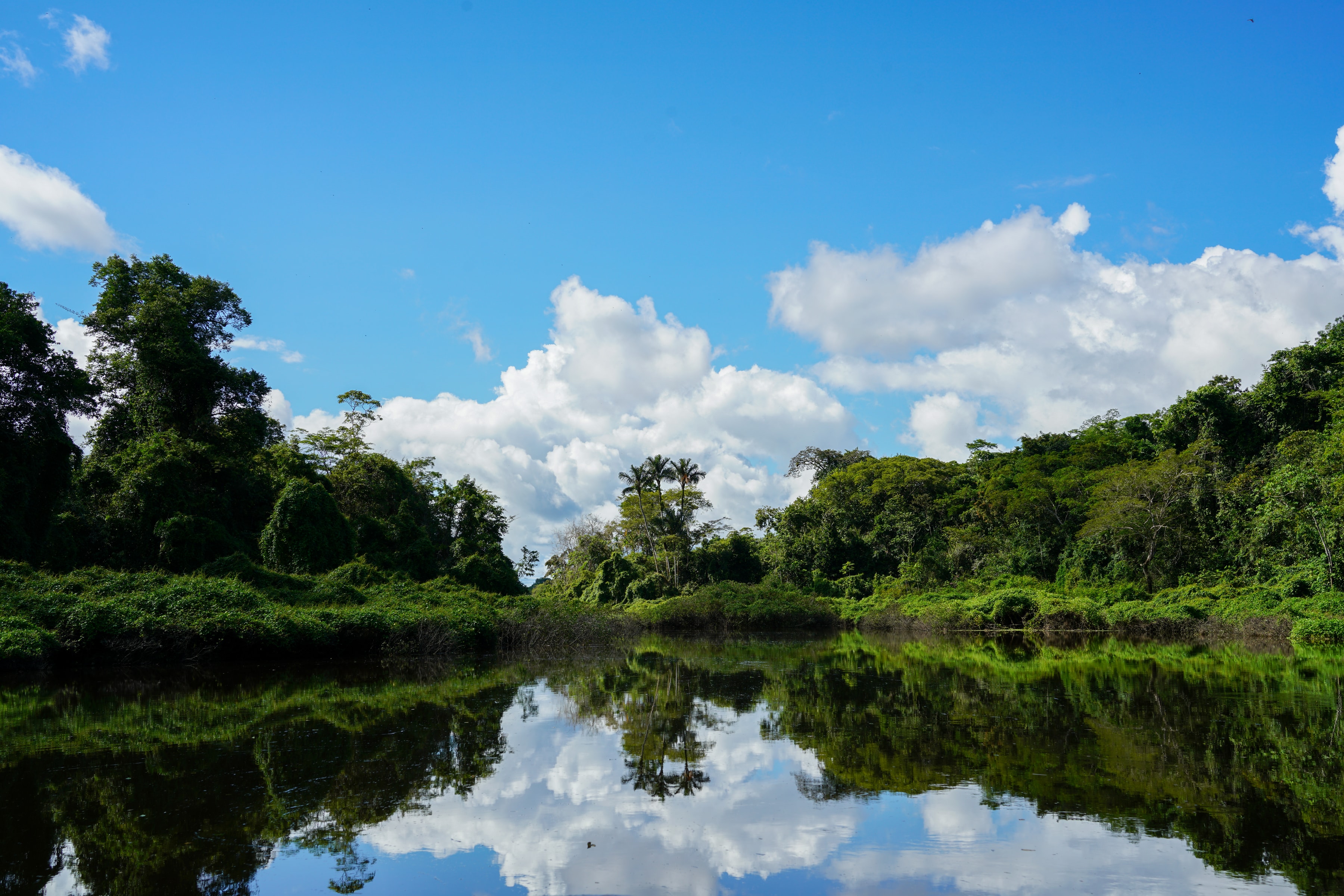 Mirror River
